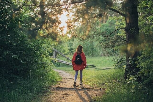 What is Japanese Forest Bathing?