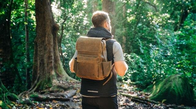 Japanese Forest Bathing is a natural therapy where nature with many fantastic health benefits for your Mind, Body and Soul. Find out how.