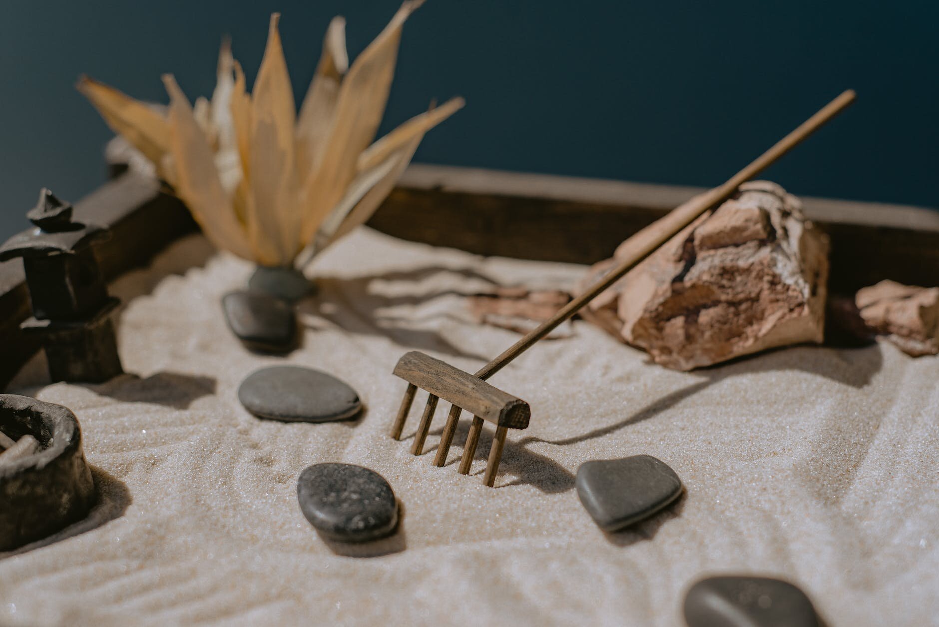 miniature zen garden